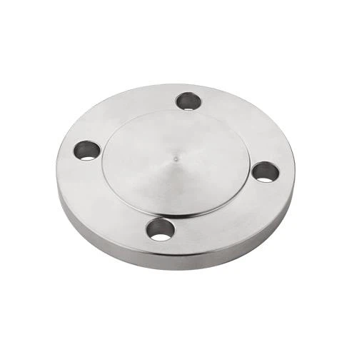 Carbon Steel Flange Cover