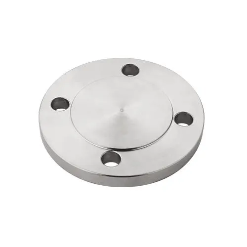 Stainless Steel Flange Cover
