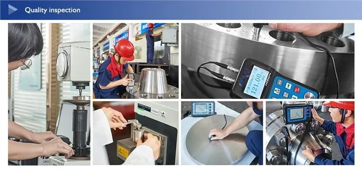 Stainless Steel 316 Flanges