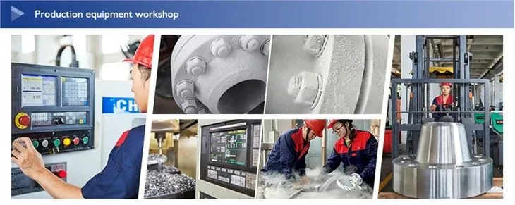 Stainless Steel Weld Neck Flange